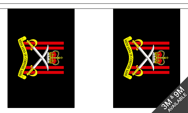 Army Physical Training Corps Bunting